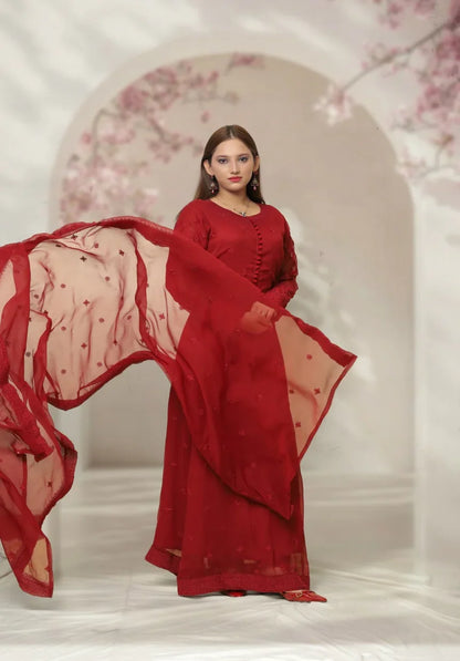 LL-105(3PC Stitched Chiffon Maxi Embroidered)